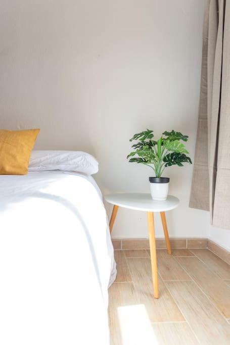 Appartement Entre Dos Playas